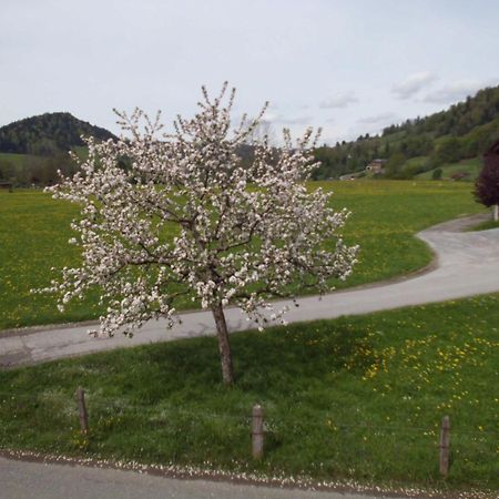 Ferienwohnung Annele Hittisau Eksteriør bilde